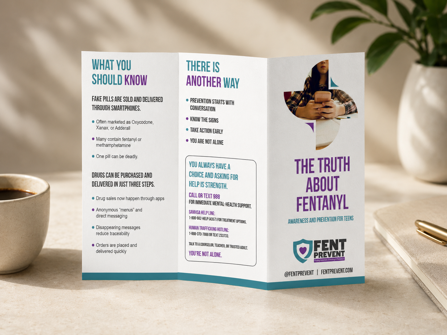 Fent Prevent work